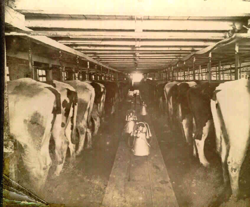 Old Dairy